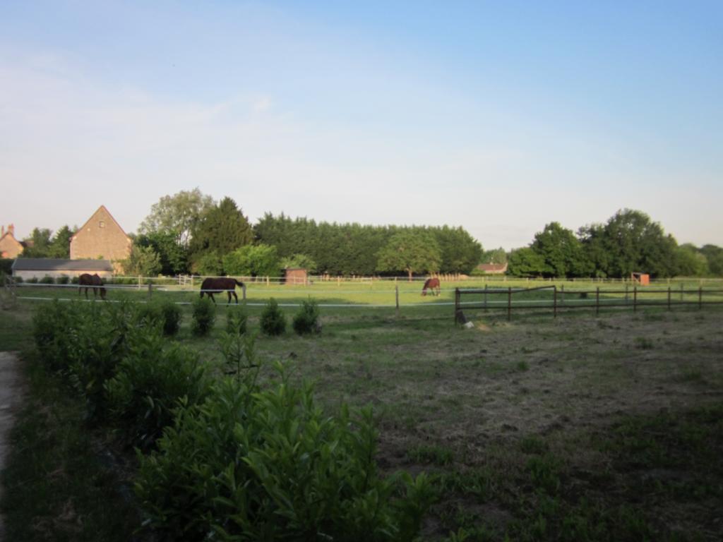 La Valliere En Vue - Gite Avec Sauna Villa Amboise Cameră foto